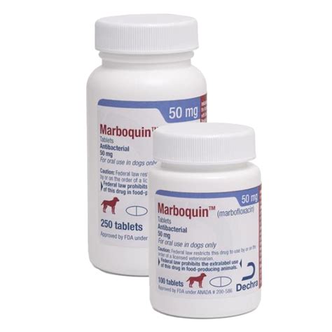marbofloxacin for cats side effects