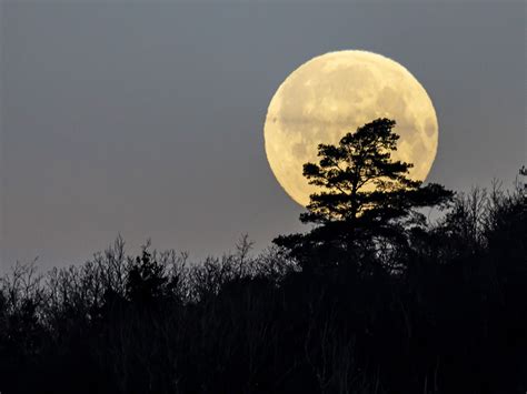 march full moon 2023 moon facts