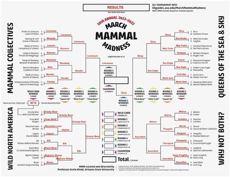 march mammal madness 2024 bracket filled out