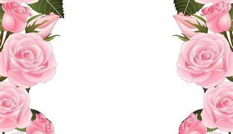 Hand drawn pink roses frame on white background vector - Download Free