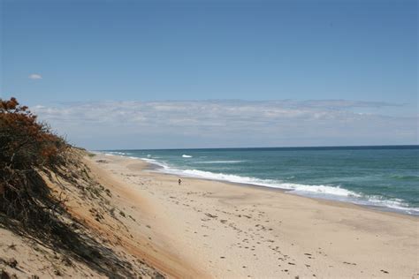 marconi beach wellfleet