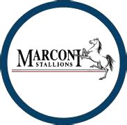 marconi stallions football club
