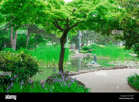 margaret island japanese garden