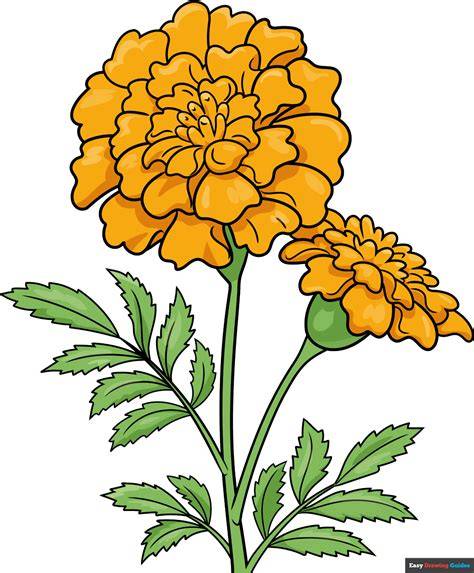 noelbadgespugh Flower drawing, Flower art, Flower painting