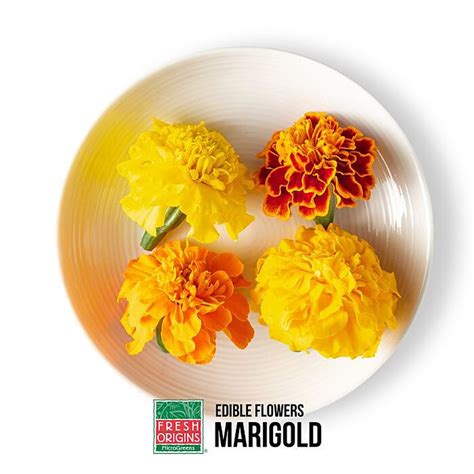 Marigold Is It Edible