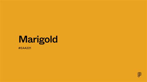 Marigold Yellow Colors Code Hex
