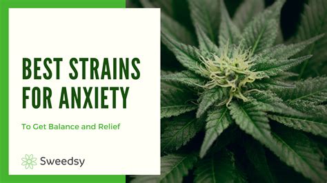 marijuana for anxiety relief
