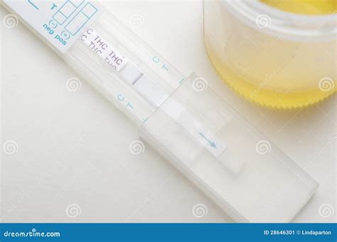 Marijuana Test Positive For