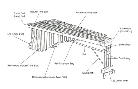 Marimba For Parties