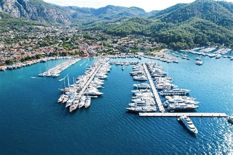 Marina Kebbitmonkfish: Unveiling the Secrets of a Hidden Seafood Treasure