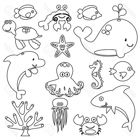 Marine Animals Drawing Easy