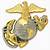 marine corp emblem pins