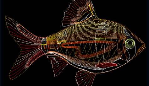Creative fish design blocks cad drawing details dwg file - Cadbull
