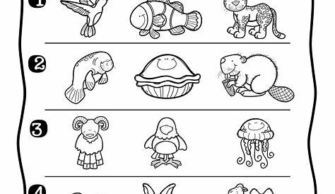 Under the sea - worksheet. Have students draw pictures of other sea