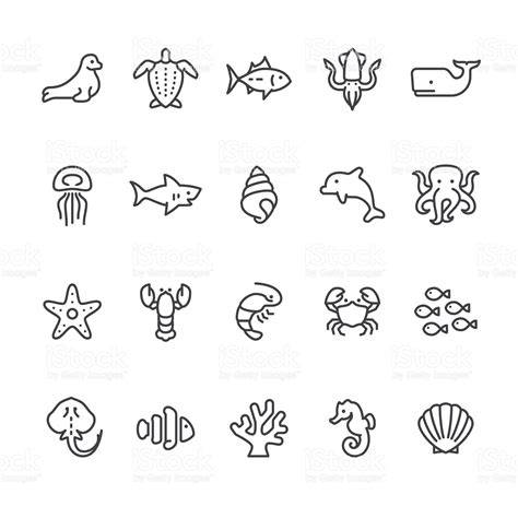 Marine Animals Drawing Easy