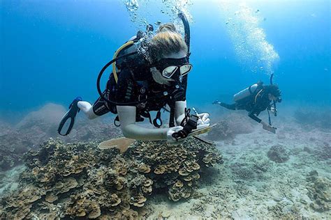 Marine Conservation Masters Programs