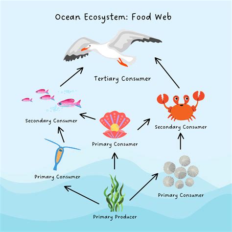 Marine Food  Assignment