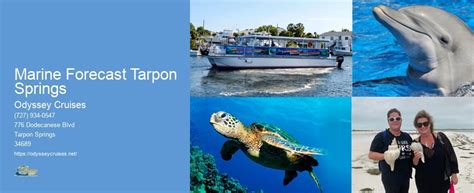 marine forecast tarpon springs fl