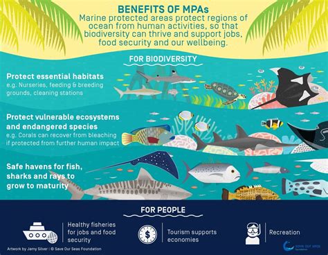 marine protected areas and their