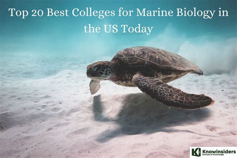 marine science colleges near me