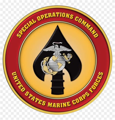 marine special forces logo