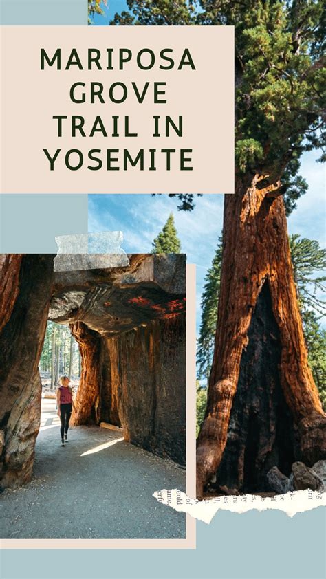 Pin on Experience Yosemite/Mariposa