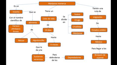 Biologia IV Mapa conceptual de la Mariposa Monarca