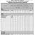 marital balance sheet template