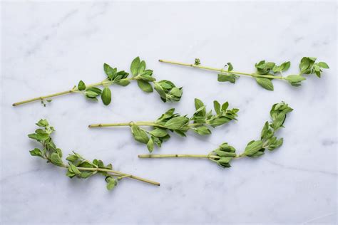 Marjoram Histamine