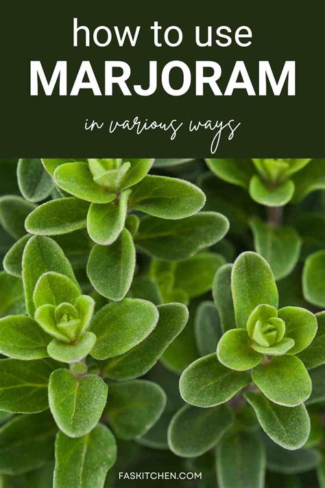 Marjoram How To Use