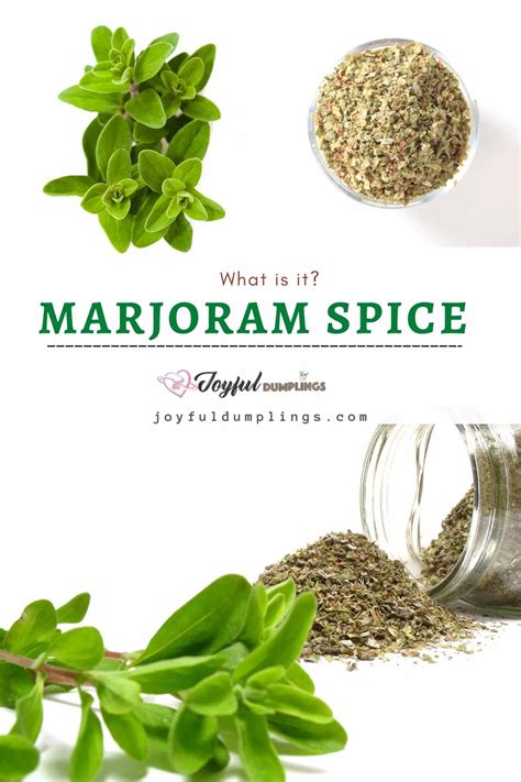 Marjoram Substitute Spice