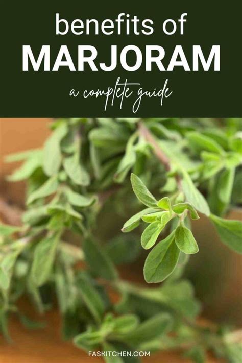 Marjoram Testosterone