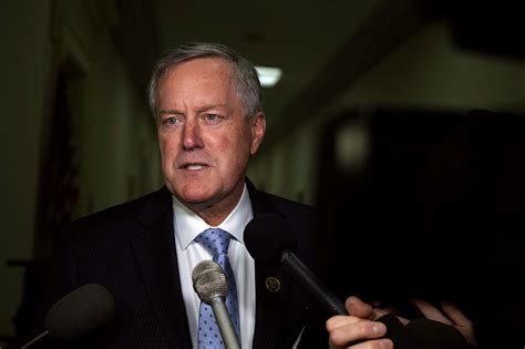 mark meadows what is he doing now