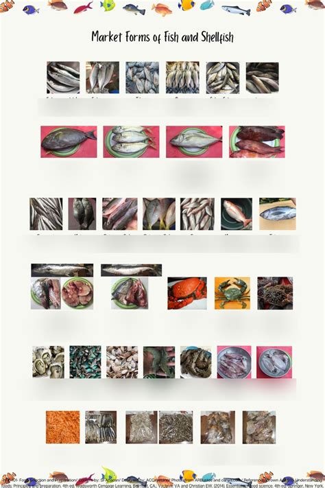 Market Forms Of Fish And Shellfish