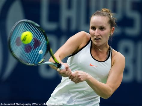 marketa vondrousova wta overview