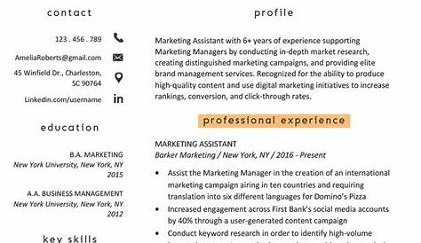 Marketing Assistant Resume Example & Template for 2021 | ZipJob