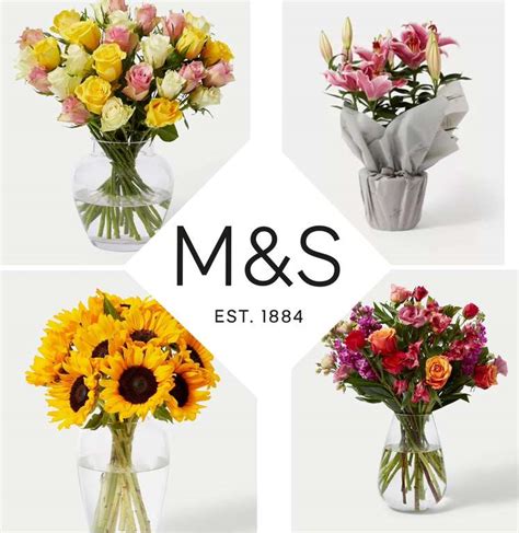 Marks And Spencer Free Delivery Code