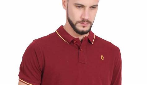 Maroon Colour T Shirt For Men Buy sg Classe S Polo Online Best