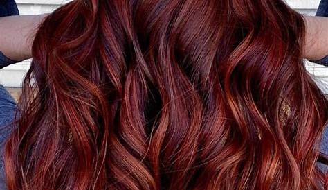 Maroon Hair Dye Sallys Pin By Allison H On s Beauty Color, Color