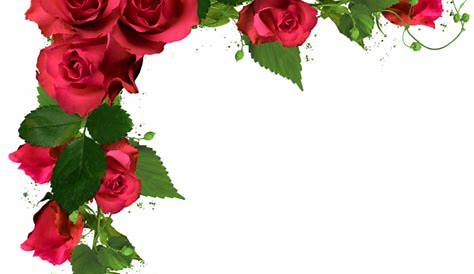Marriage Flower Decoration Png s PNG Images Transparent Free Download