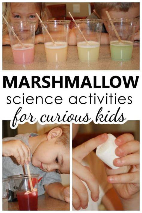 Marshmallow Experiment Discipline