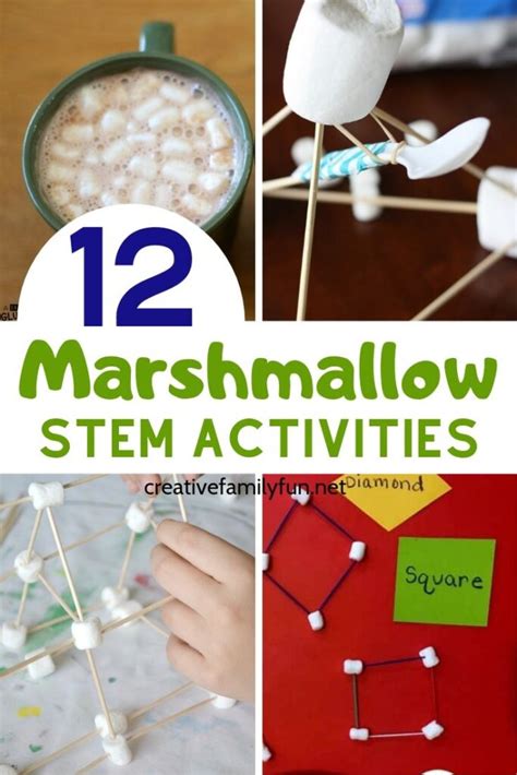 Marshmallow Experiment Worksheet
