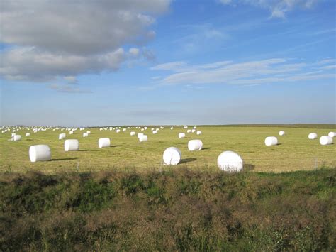 Marshmallow Fields Nested List