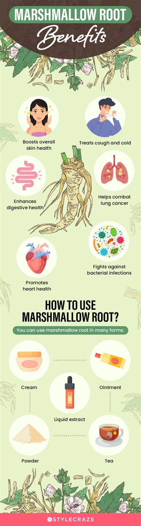Marshmallow Root Benefits For Bones