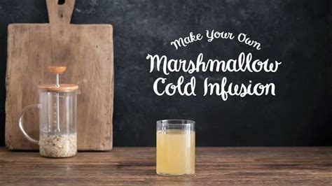 Marshmallow Root Cold Infusion