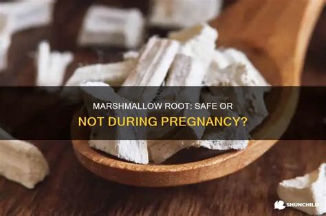Marshmallow Root Safe While Breastfeeding
