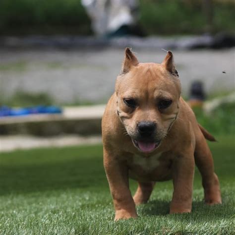 martinez only posing tati