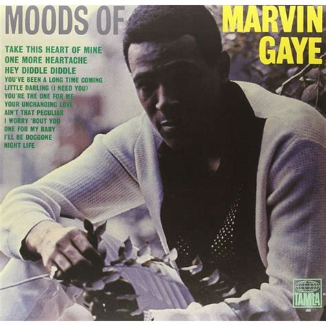 marvin gaye vinyl records