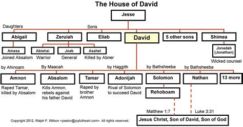 mary's genealogy to david