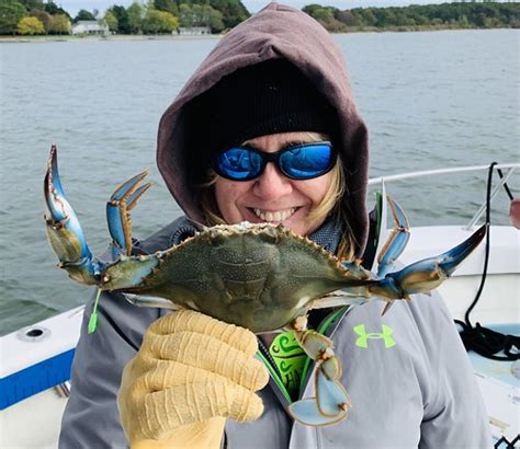 maryland crabbing report potomac river